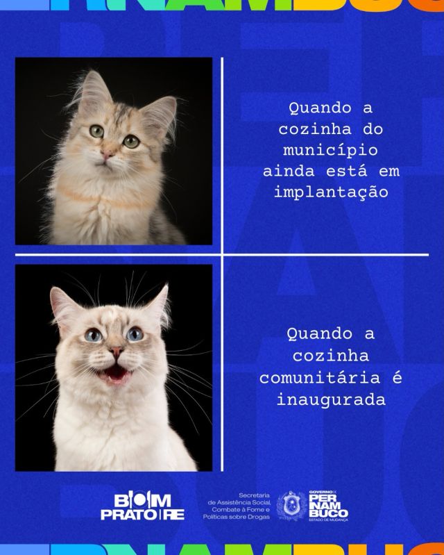 O processo de pactuação de uma Cozinha Comunitária envolve várias etapas e exige dedicação, cuidado e acompanhamento constante. Tudo começa com o pedido do município, passa pela análise documental, liberação de recursos e segue até a tão aguardada inauguração.

Durante todo esse caminho, a SAS permanece lado a lado com os municípios: acompanhando a definição do espaço, a realização das reformas e o treinamento das equipes.

Por isso, cada inauguração é, de fato, um momento de celebração. Que 2026 seja um ano de muitas conquistas e de comida na mesa de quem mais precisa. 🍽️✨ 

#CozinhasComunitárias #BomPrato #CombateÀFome #GovernodePernambuco